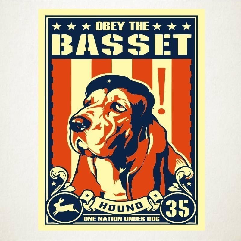 the basset